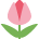 🌷