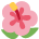 🌺