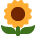 🌻