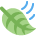 🍃