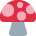 🍄
