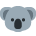 🐨