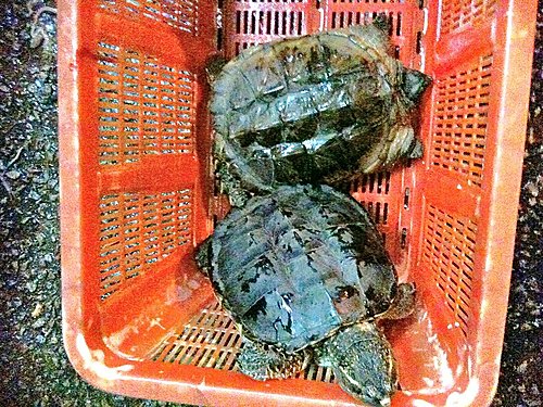 相識是偶然