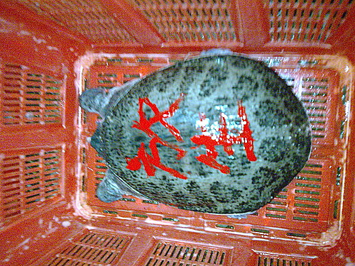 相識是偶然