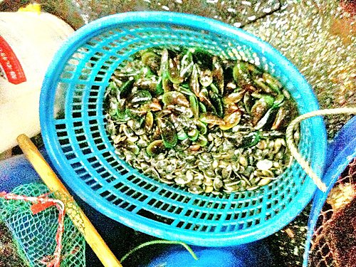 齊點放生燈