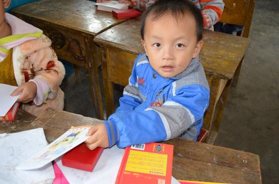 善心莲心字典王家村小学发放小结 善心莲心字典王家村小学发放小结
