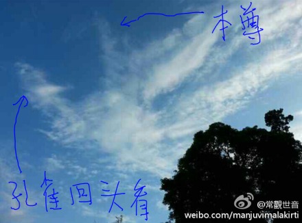 遁世红尘