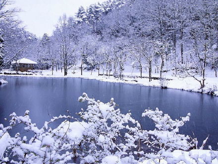 北國孩兒