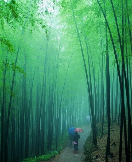 亂世修行要經風雨 亂世修行要經風雨