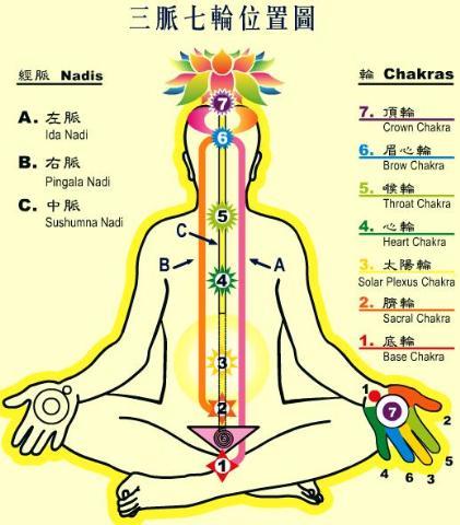 第三眼的修练 第三眼的修练