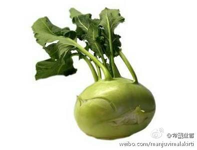大头菜