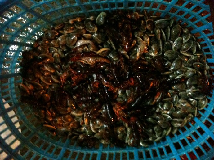 佛意天心