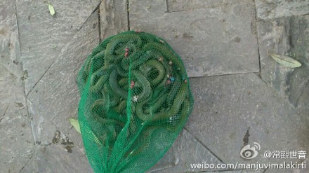 回向世界减災
