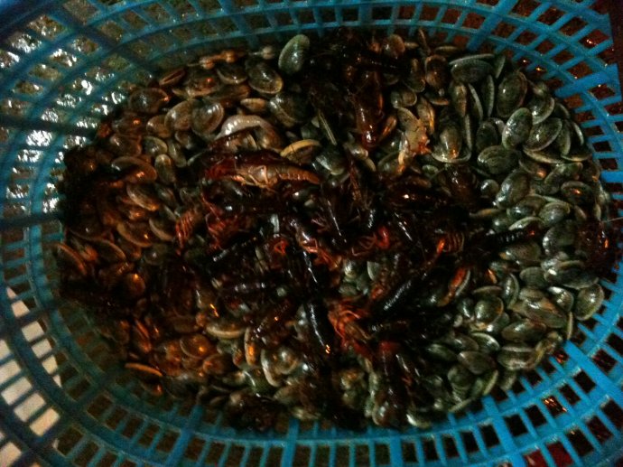 佛意天心
