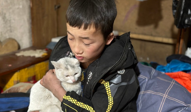 公益图片